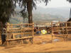 Water collection point in Kiziba Refugee Camp in Rwanda
